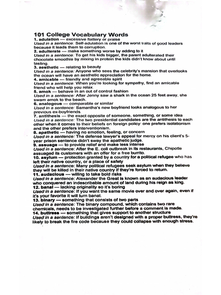 101 Vocabulary Words | PDF