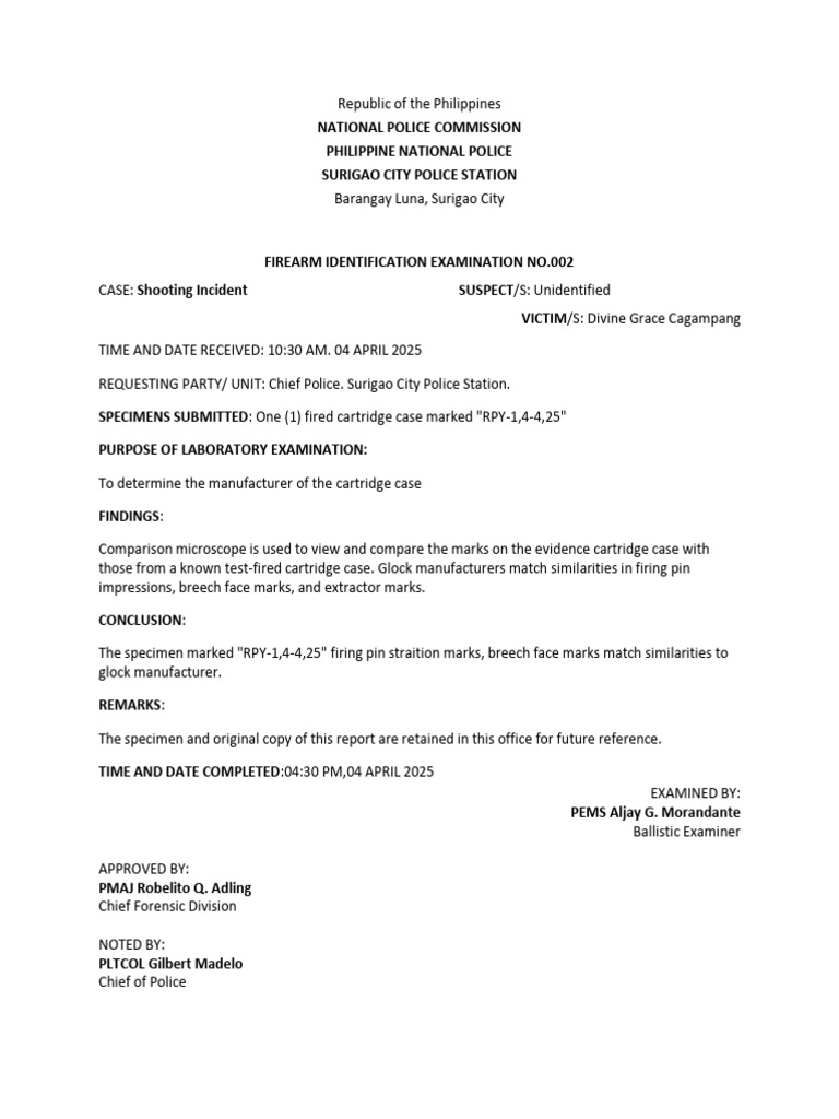 Firearm Identification Report: Glock Match | PDF