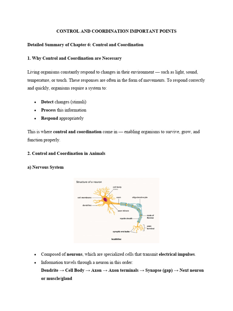 Control and Coordination in Organisms | PDF | Axon | Neuron