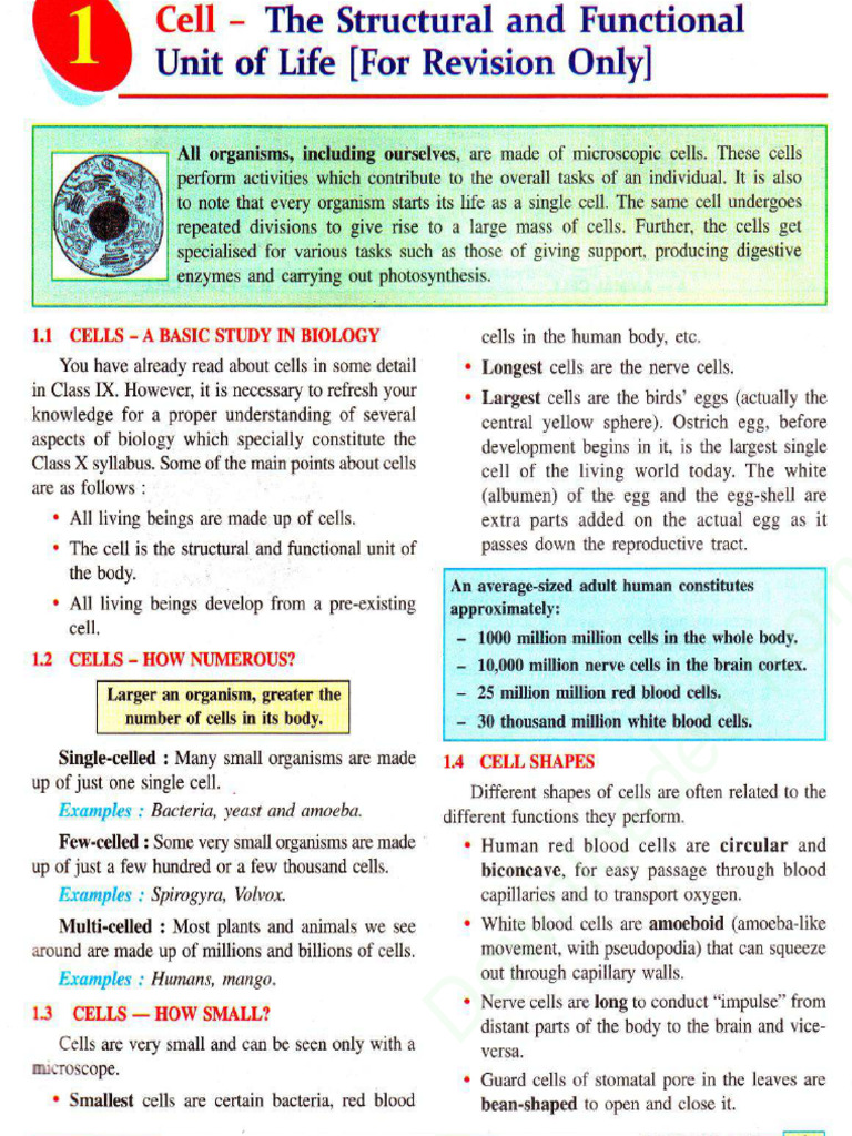 Class 7 Biology Chapter 01 Cell The Structural and Functional Unit of ...