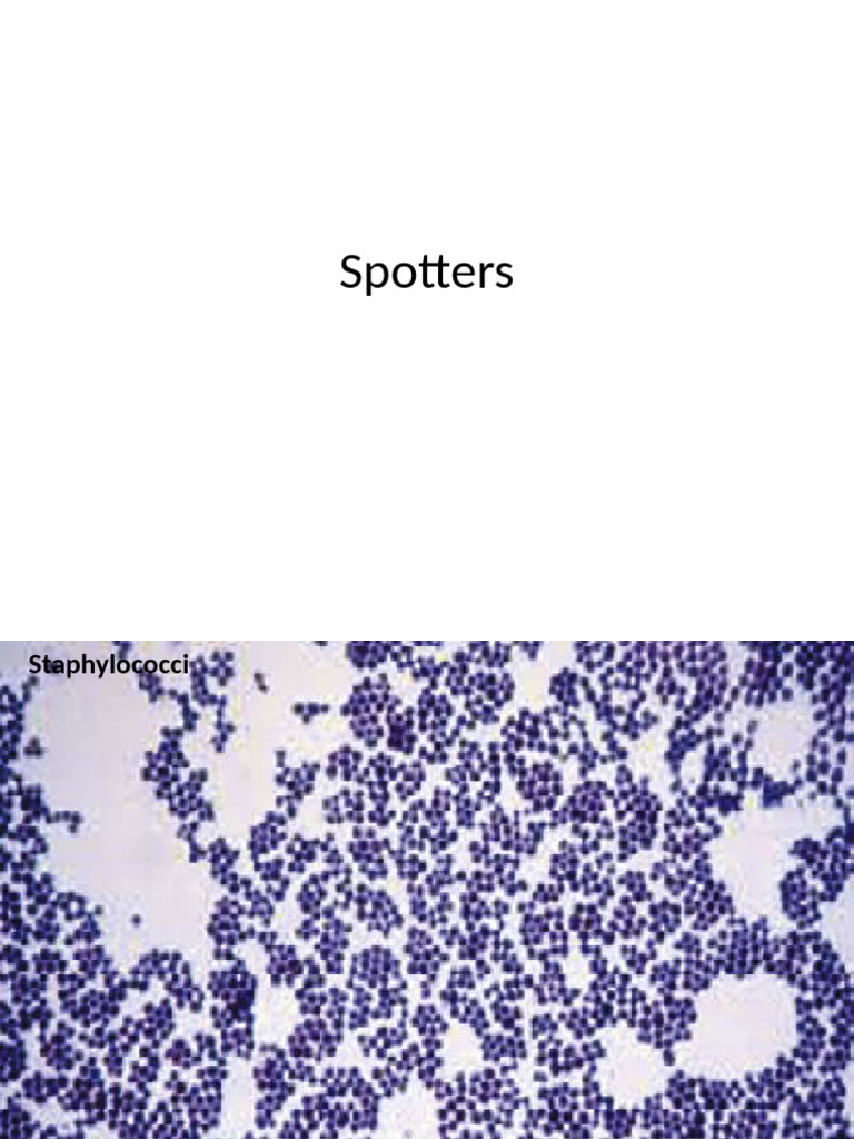 Bacterial Identification and Media Guide | PDF | Streptococcus | Growth ...