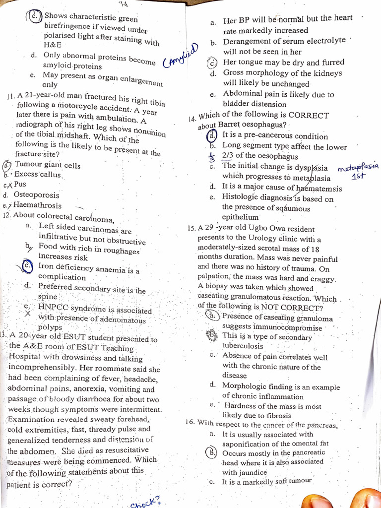 Histo Past 1 | PDF