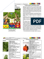 Guía Básica para la Agricultura Orgánica Urbana