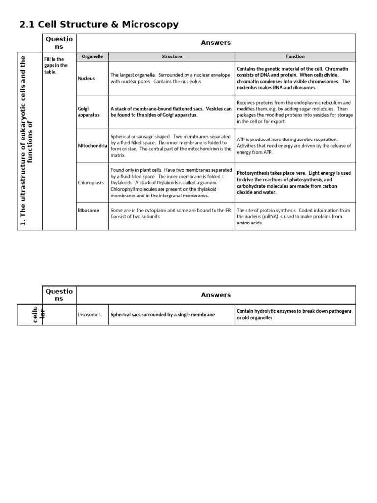 Eukaryotic Cell Structure & Functions | PDF | Cell (Biology) | Cell Nucleus