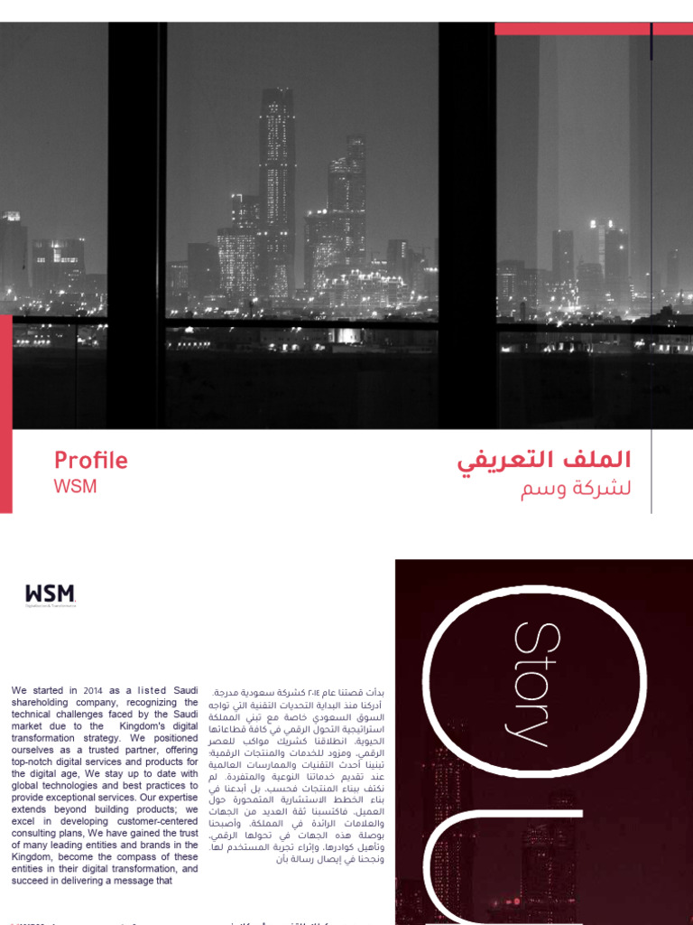 WSM Detailed Profile 2024 | PDF