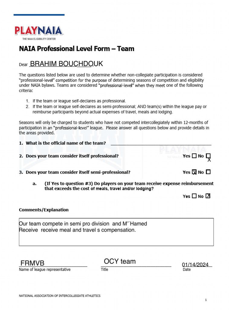 Team Professional Level Evaluative Form | PDF