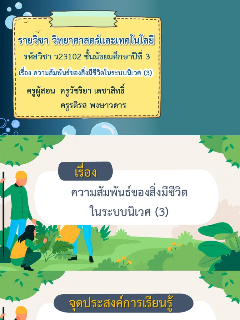 Eco System | PDF