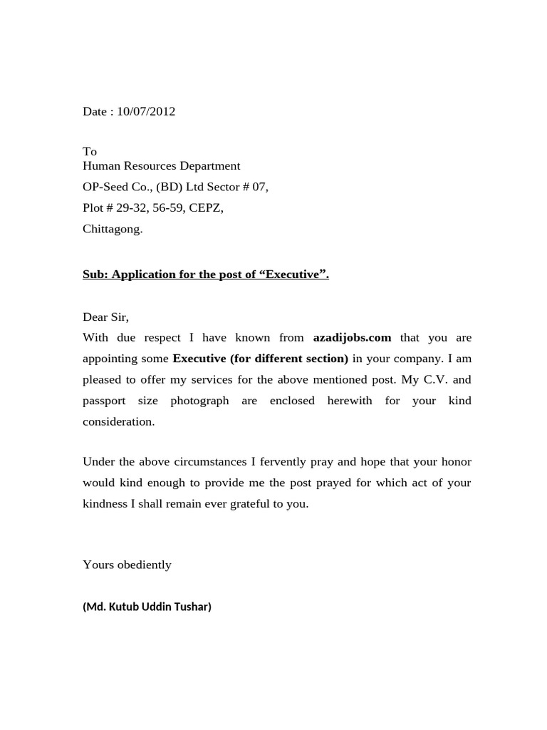 Application English | PDF