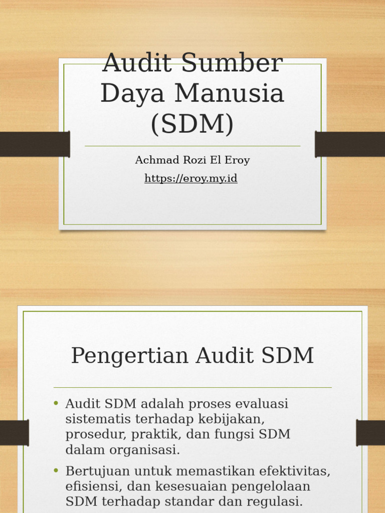 Materi_Audit_SDM | PDF