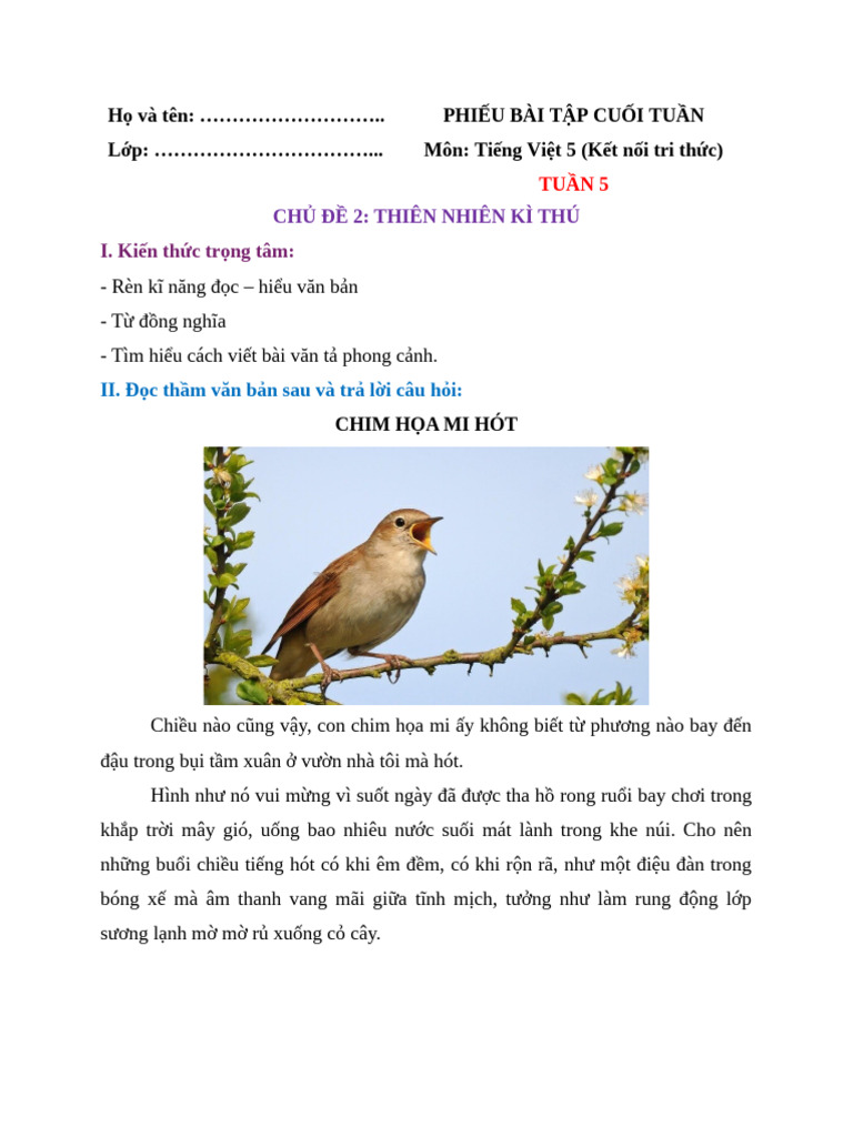 BTCT TV tuần 5_1 | PDF