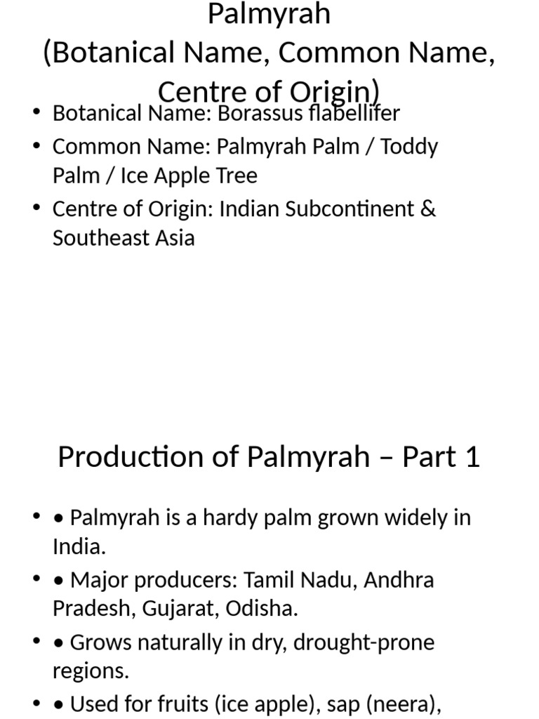 Palmyrah Presentation | PDF
