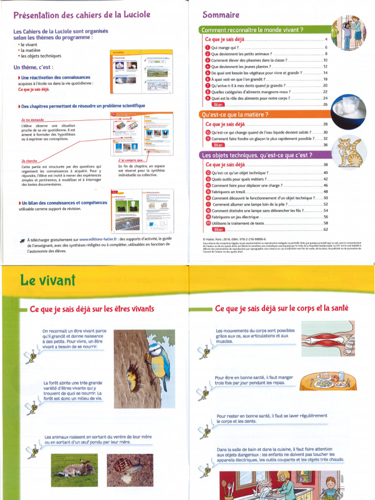 Luciole Ce1 Sciences | PDF
