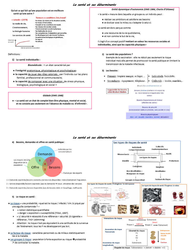 Déterminants de la santé et morbidité | PDF | Taux de mortalité | Santé ...