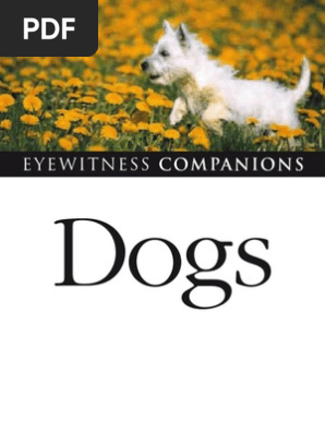 Dr Bruce Fogle Dogs Dog Breeds Gray Wolf