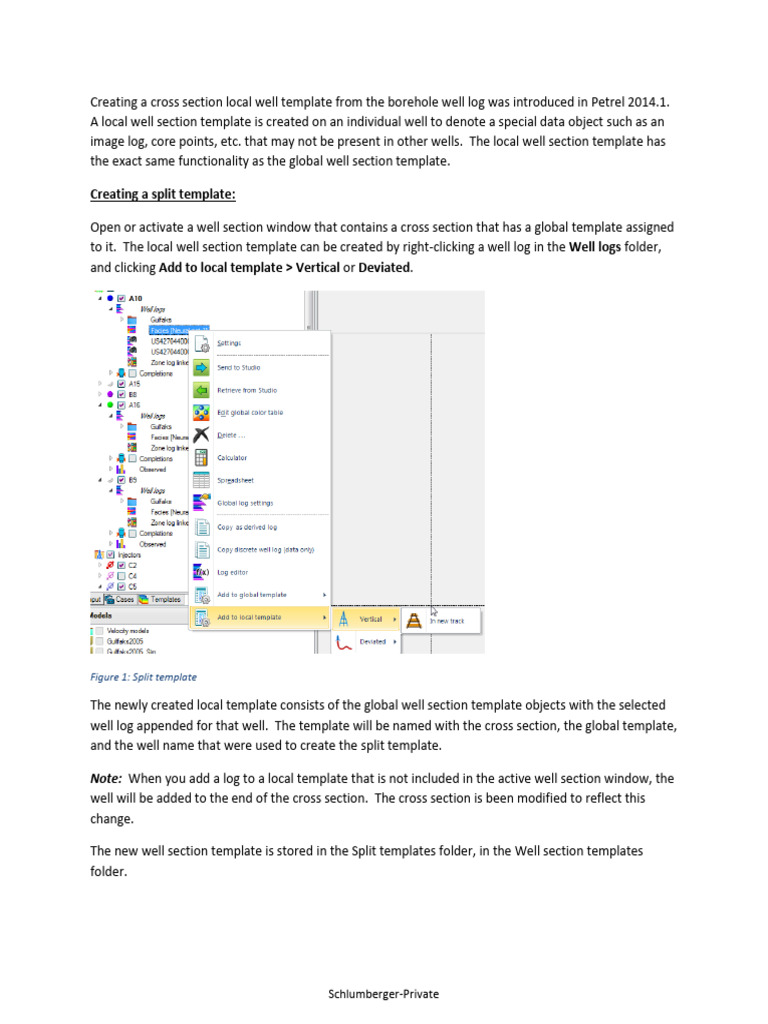 Create Local Well Section Templates | PDF | Software | Computing