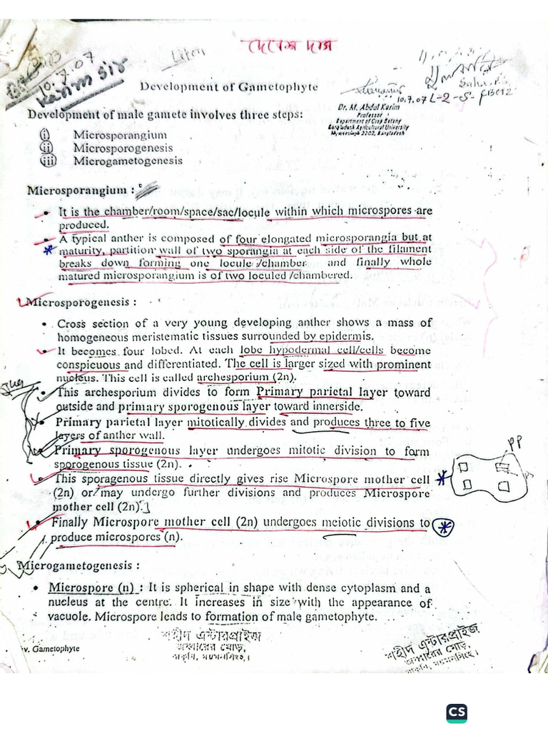 Embryology Handnote | PDF