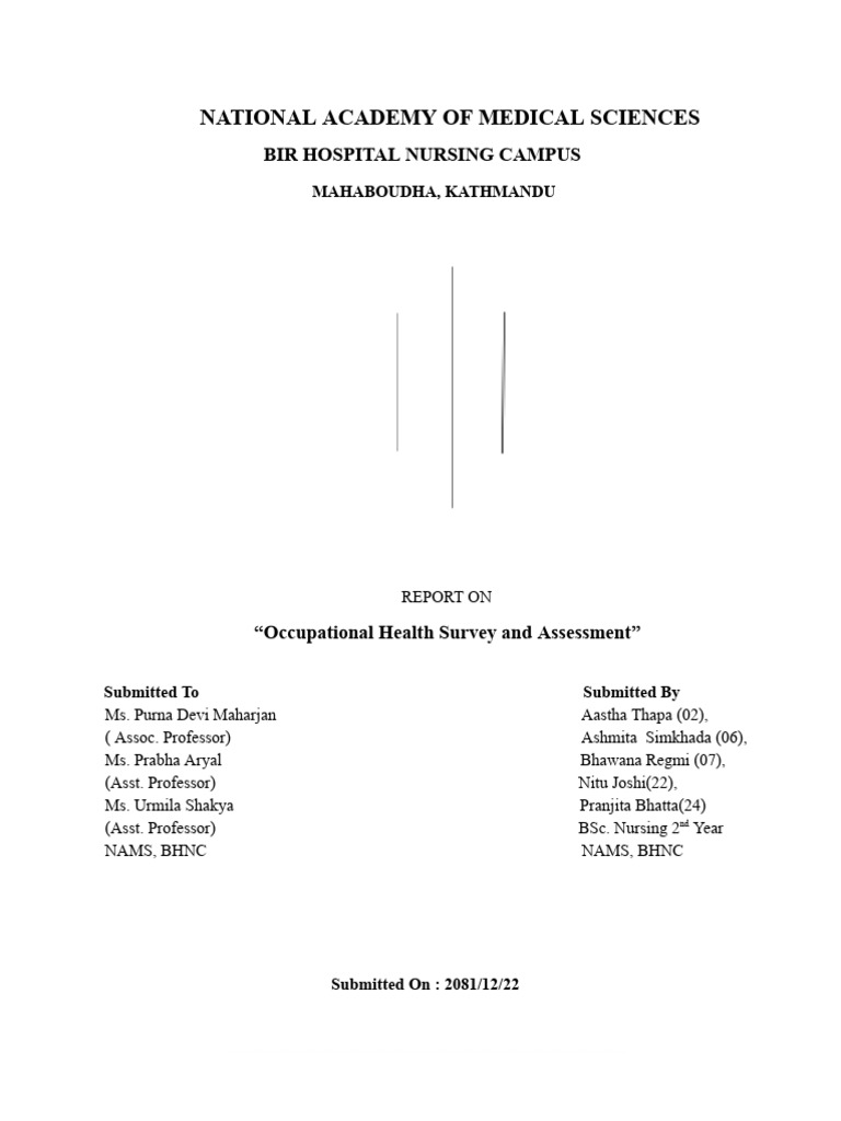 Occupational Health Assessment Report | PDF | Occupational Safety And ...