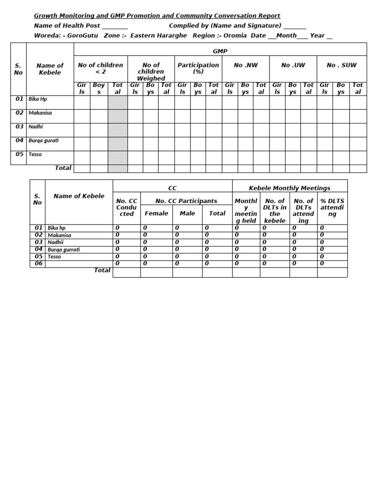 GMP Reporting Format | PDF