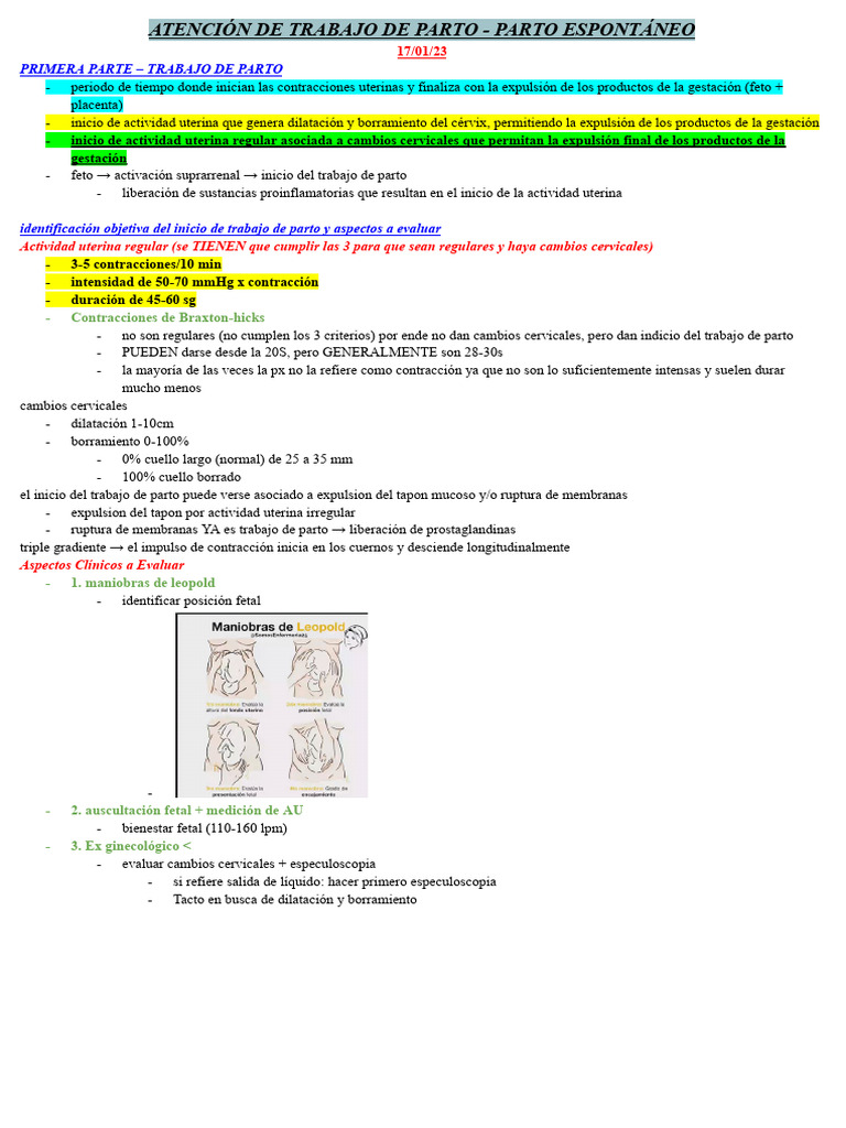 Atención Integral del Trabajo de Parto | PDF | Parto | Reproducción humana