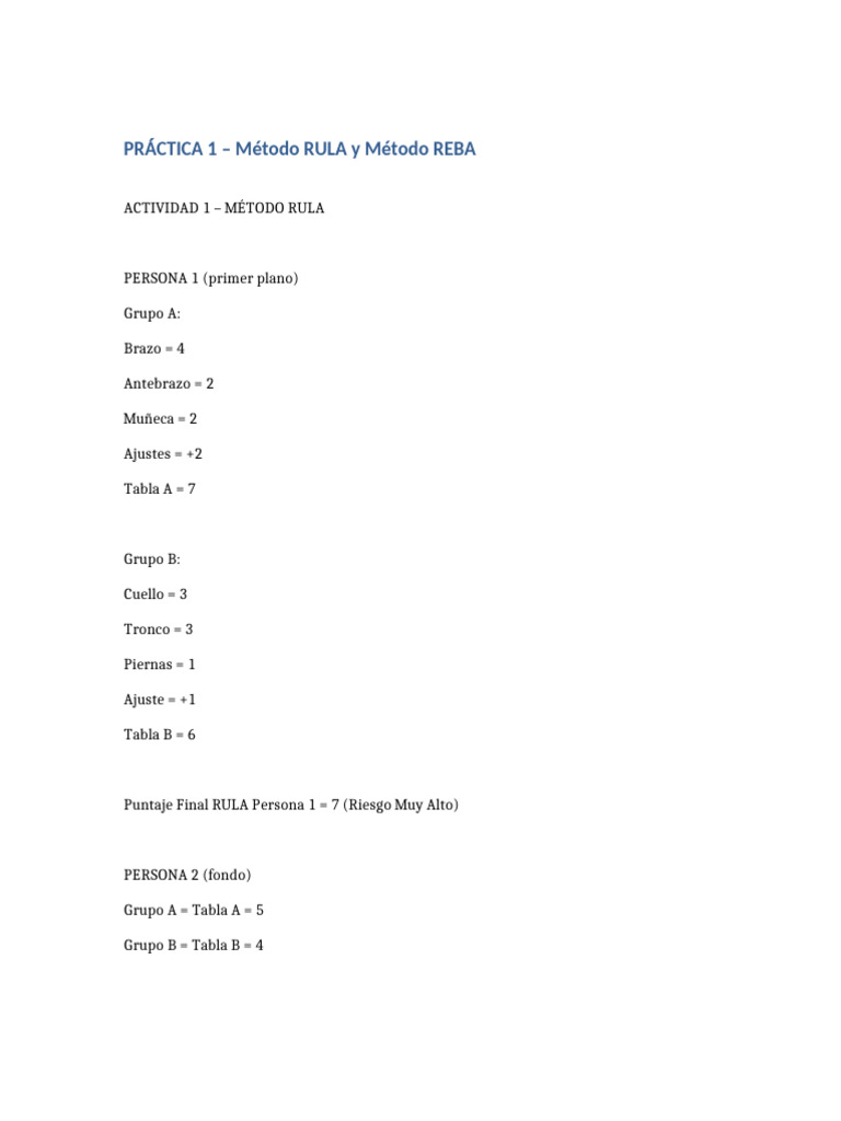 Practica Rula Reba | PDF