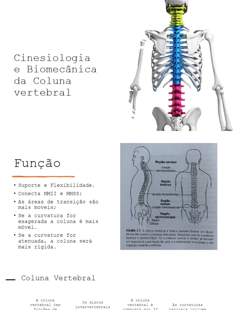 Cinesiologia e Biomecânica da Coluna Vertebral | PDF | Vértebra ...