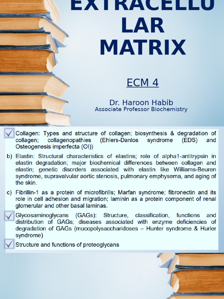 ECM 4 | PDF | Cell Biology | Biochemistry