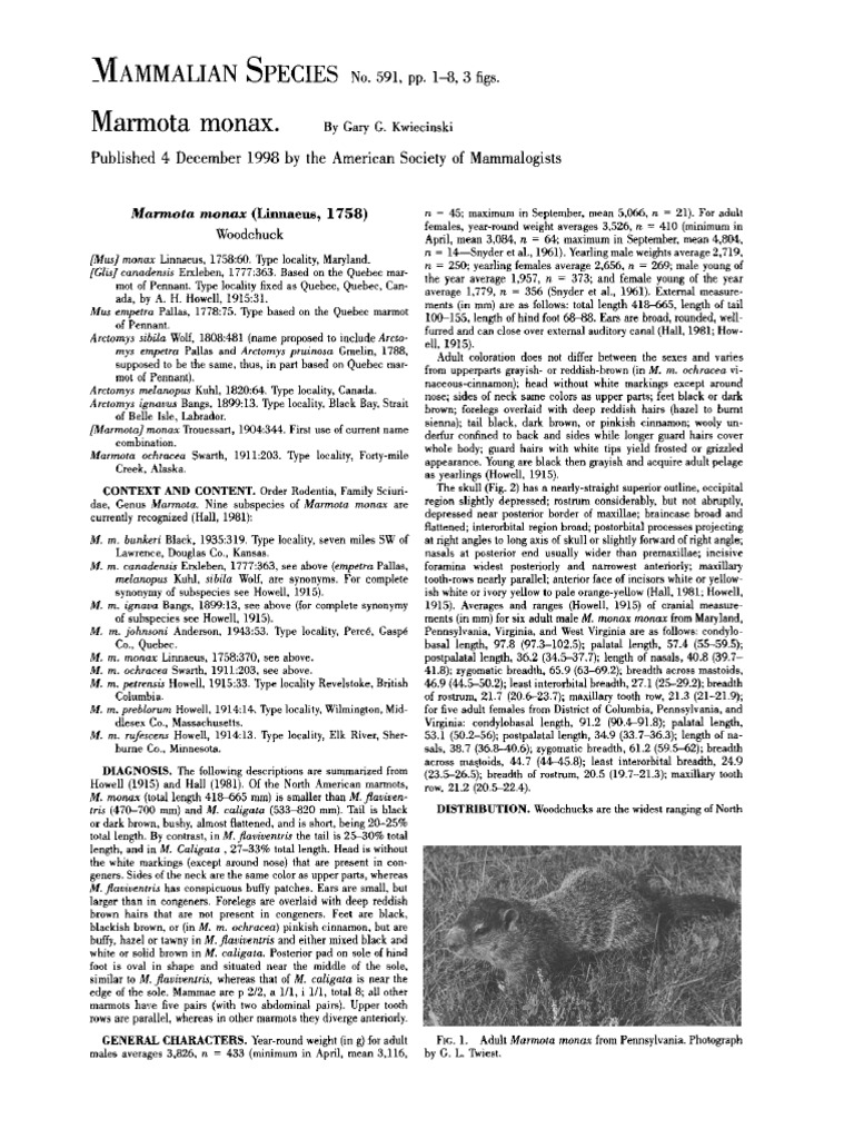 Woodchuck (Marmota monax) Overview | PDF | Testicle | Adrenal Gland