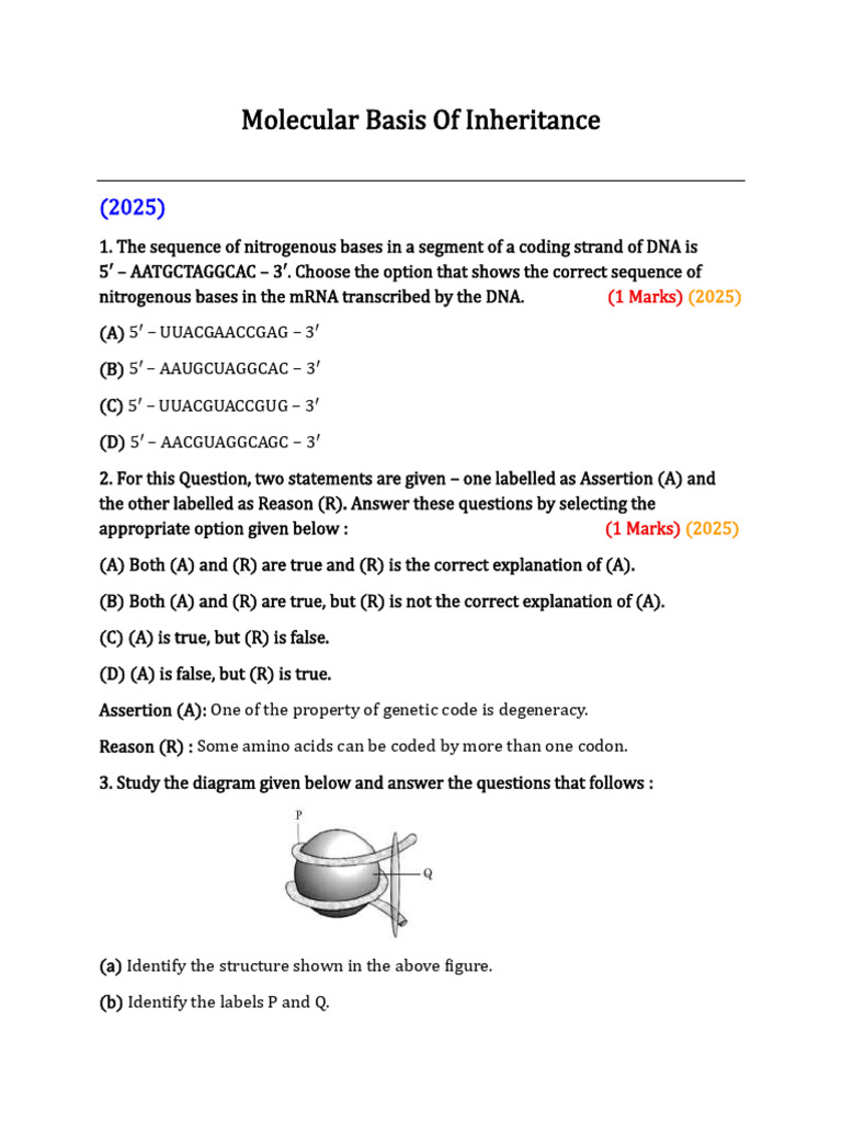 Split 20251029 1928 | PDF | Genetic Code | Translation (Biology)