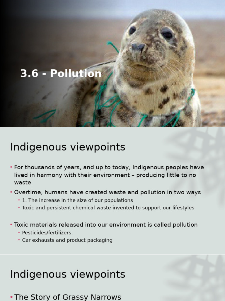 Indigenous Perspectives on Pollution | PDF | Sea | Oil Spill