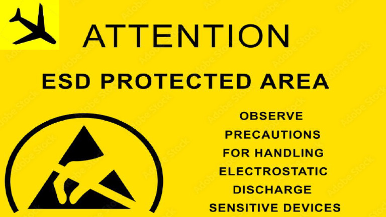 ESDS | PDF