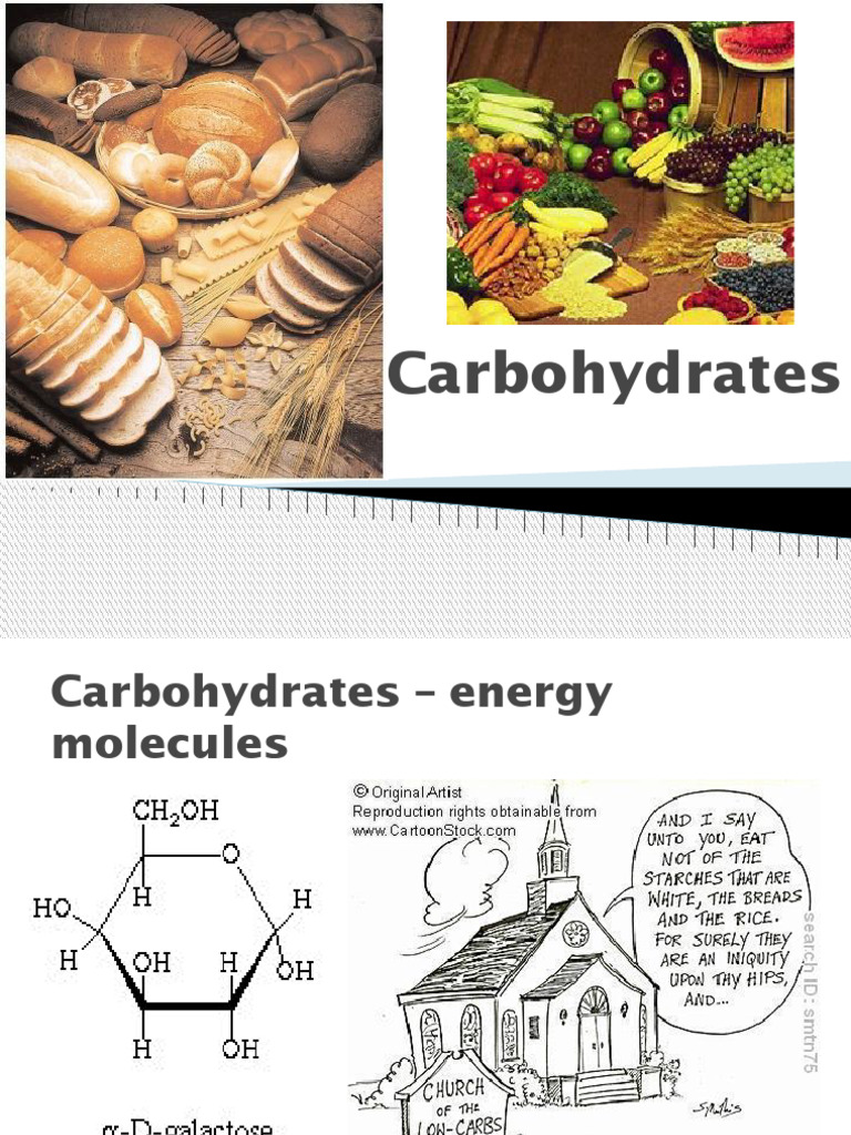 Understanding Carbohydrates and Sugars | PDF