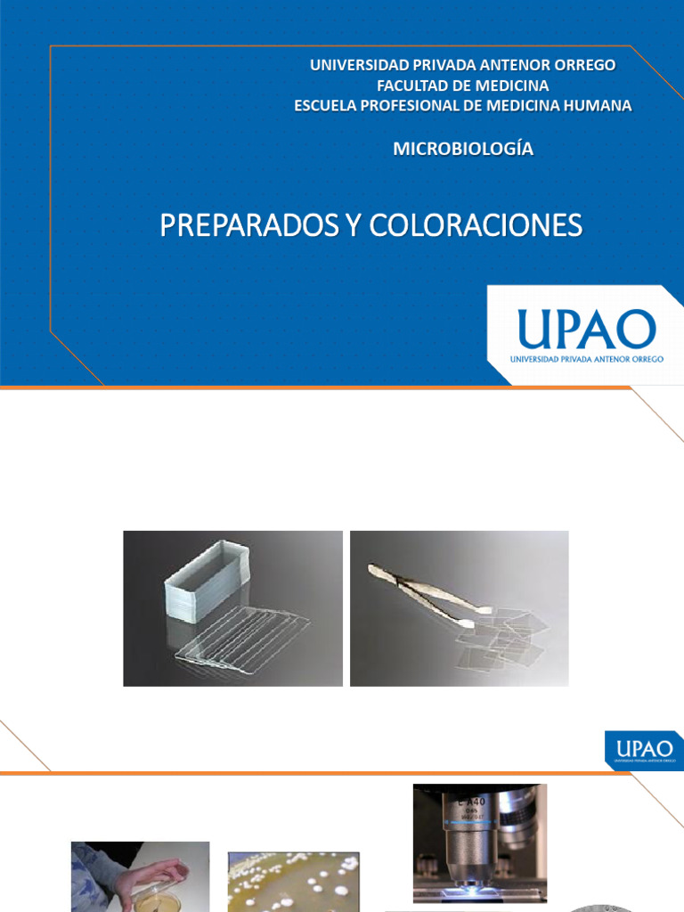Coloraciones Microbiológicas en Medicina | PDF | Tinción | Biología