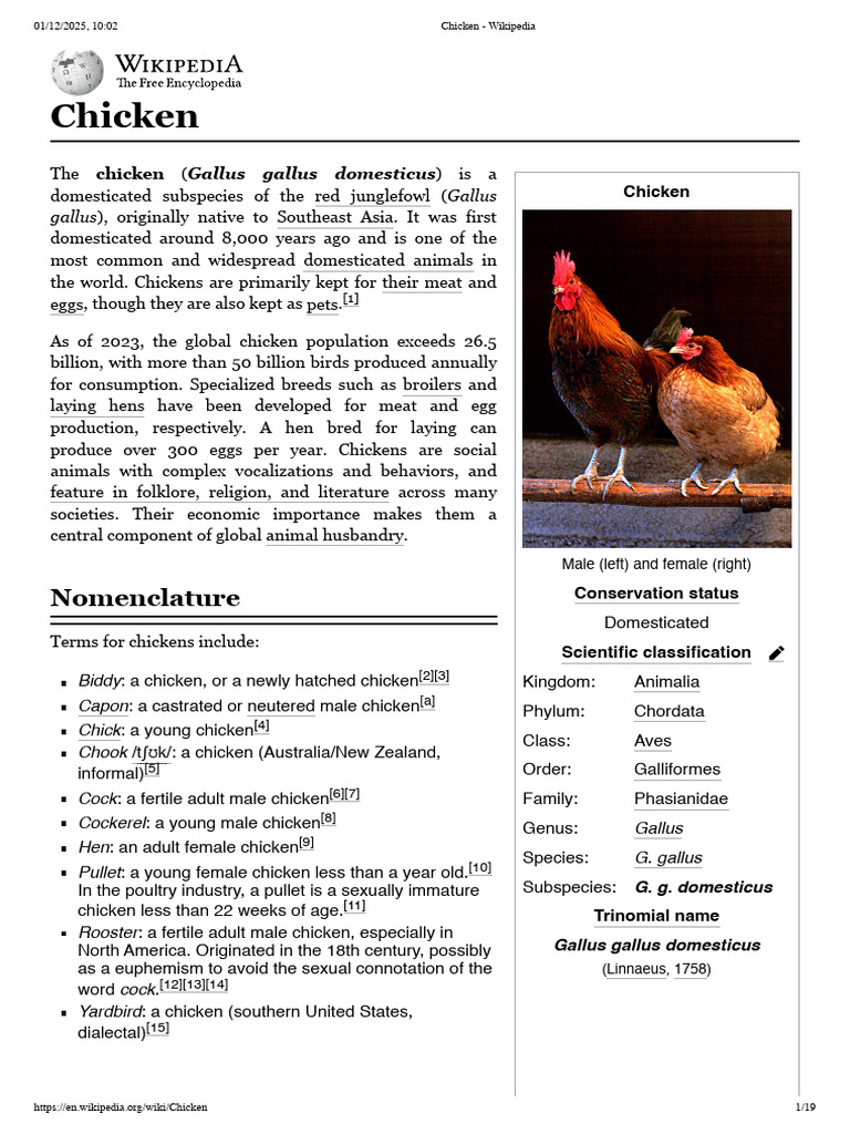 Chicken: Domestication and Biology | PDF | Chicken | Zoology