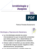 Microbiología y Asepsia: Morfología, Reproducción y Clasificación de Microorganismos