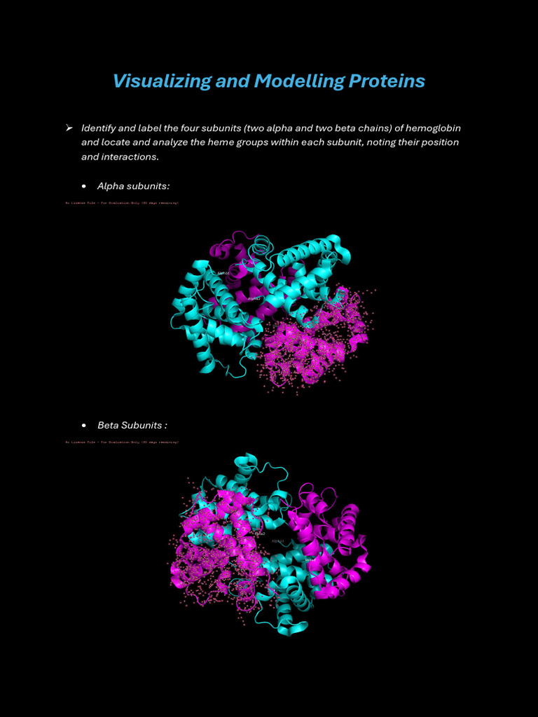 Visualization of Protein - by Anurag | PDF | Luciferase | Proteins