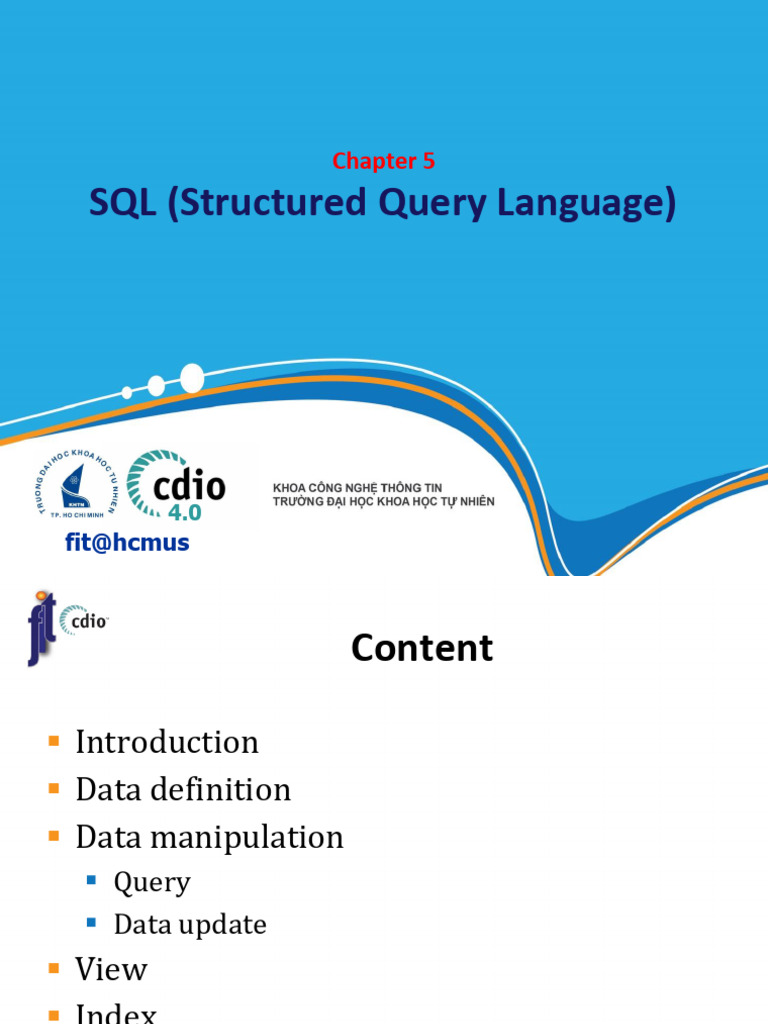 SQL Basics: Data Definition & Queries | PDF | Sql | Data