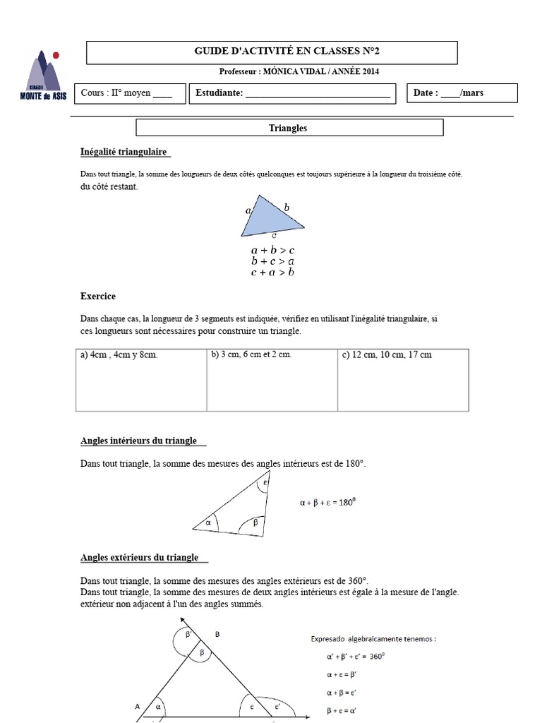 Guide sur les Triangles et leurs Propriétés | PDF