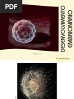 Desenvolvimento_embrionario