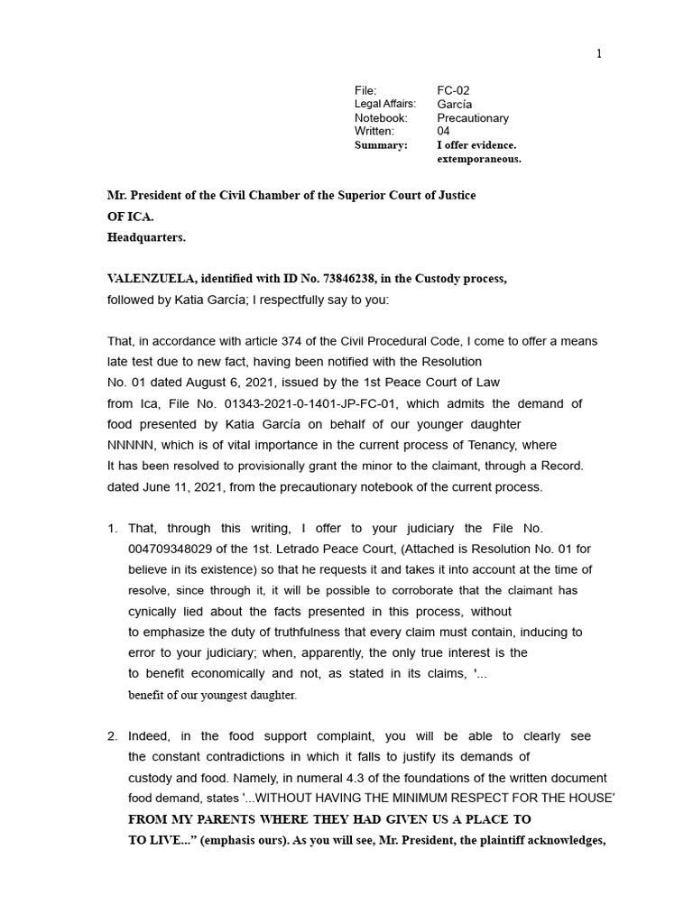 Evidence Submission in Custody Case | PDF | Justice | Crime & Violence