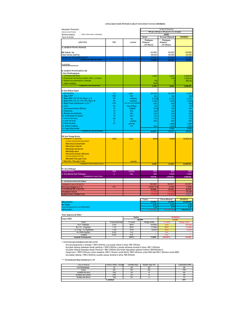 Presupuesto Cultivo Piña Morris MD2 | PDF