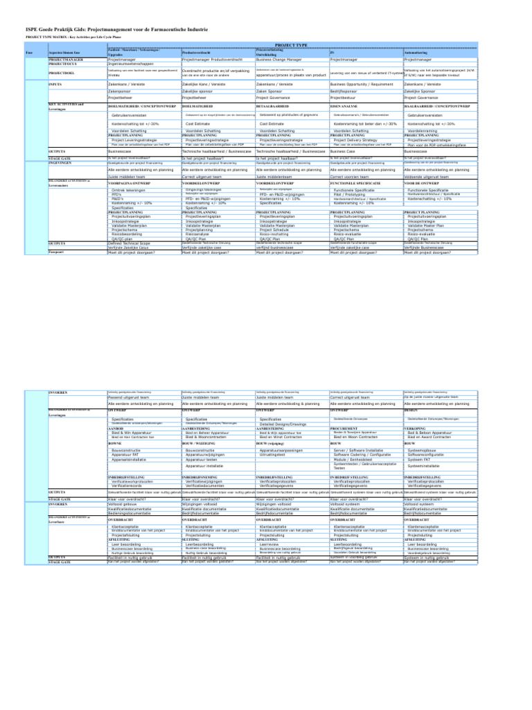 Projectmanagement Projectmatrix | PDF
