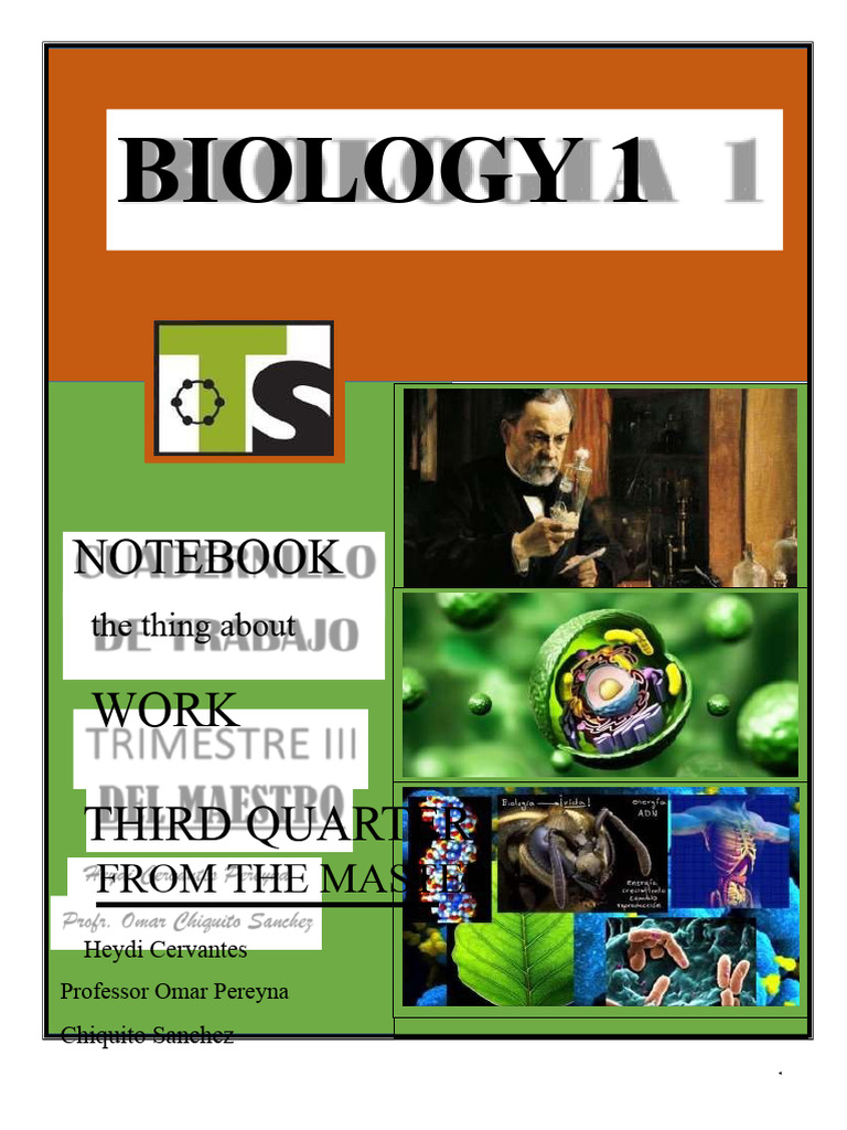 Biology Notebook (3RD Trimester) Teacher | PDF | Obesity | Sexual ...