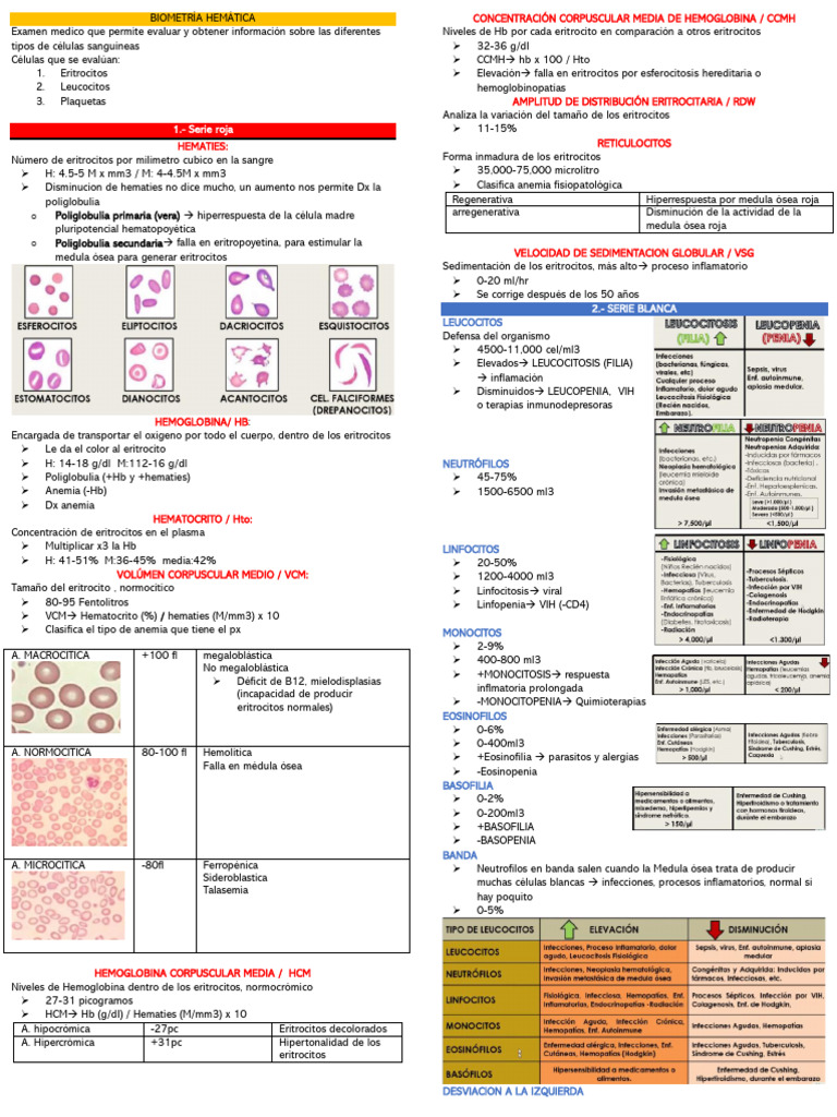Patologia Clinica | PDF | Transaminasa | Glóbulo rojo