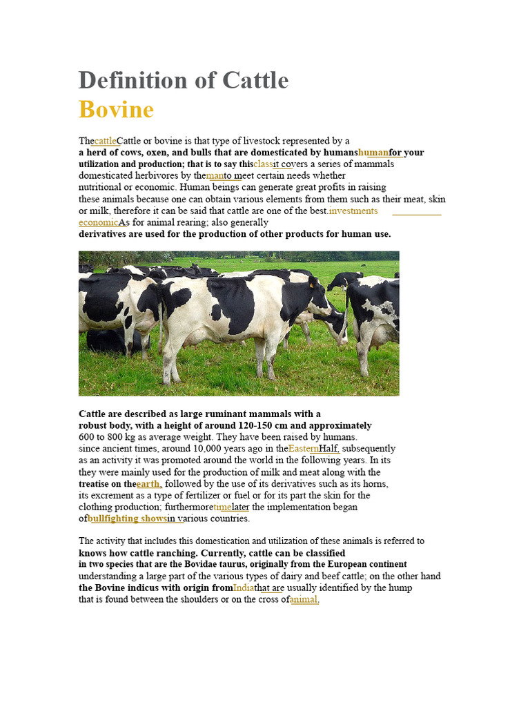 Definition of Cattle | PDF