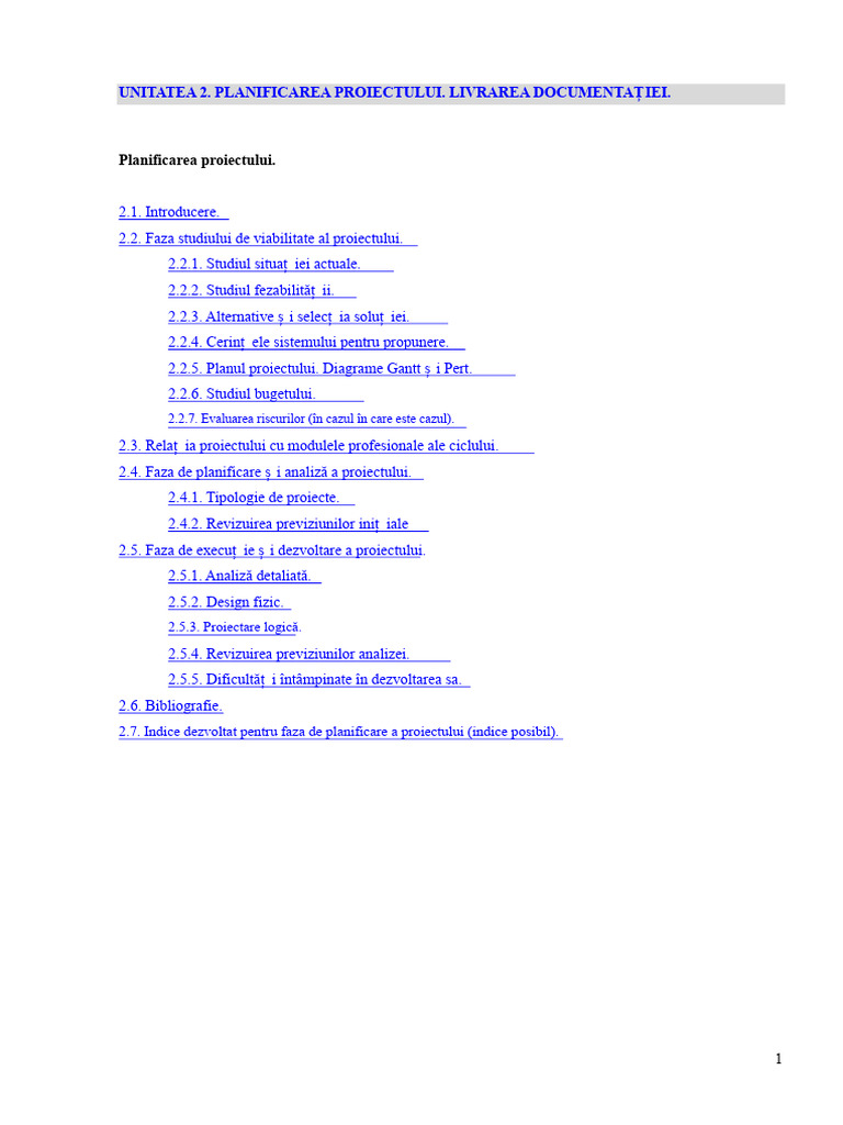 Exemplu Viabil de Proiect | PDF