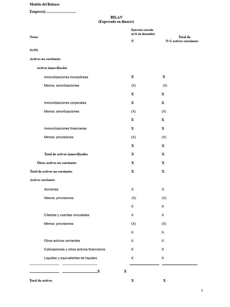 Modelo de Balance Financiero Detallado | PDF | Hoja de balance ...