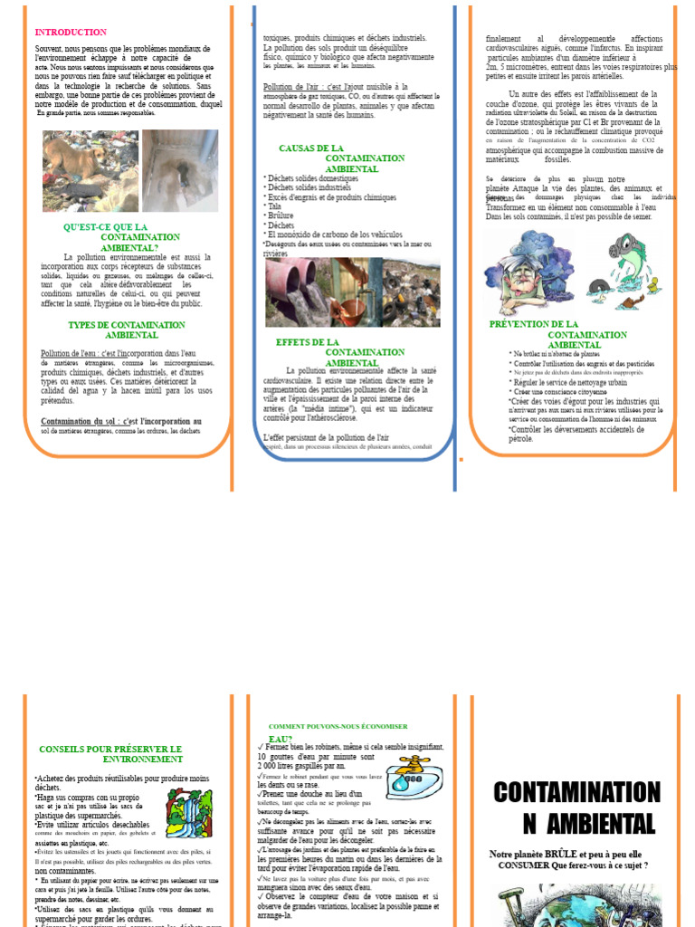 Pollution environnementale : causes et solutions | PDF | la pollution ...