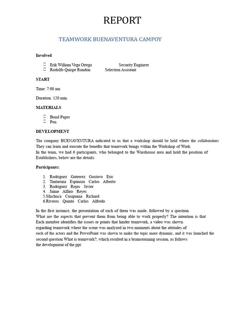 Teamwork Workshop Report: Buenaventura | PDF