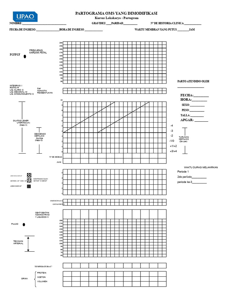 Panduan Partogram Modifikasi OMS | PDF