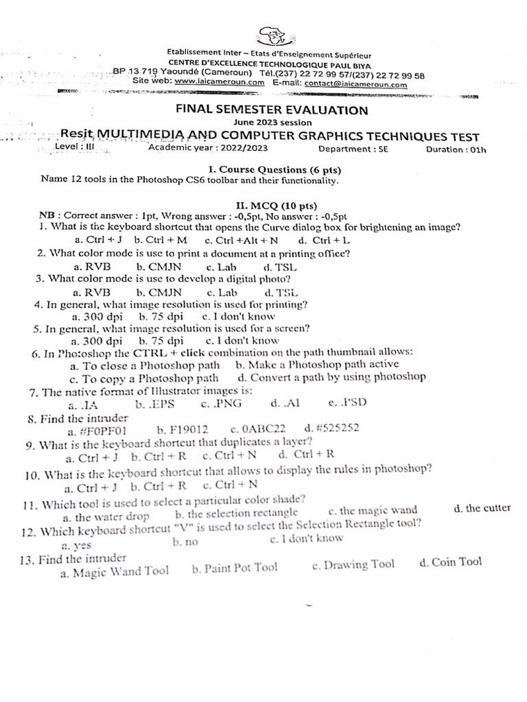 IAI-Cameroun-NIVEAU III-Software Engineering-Multimedia and Computer ...